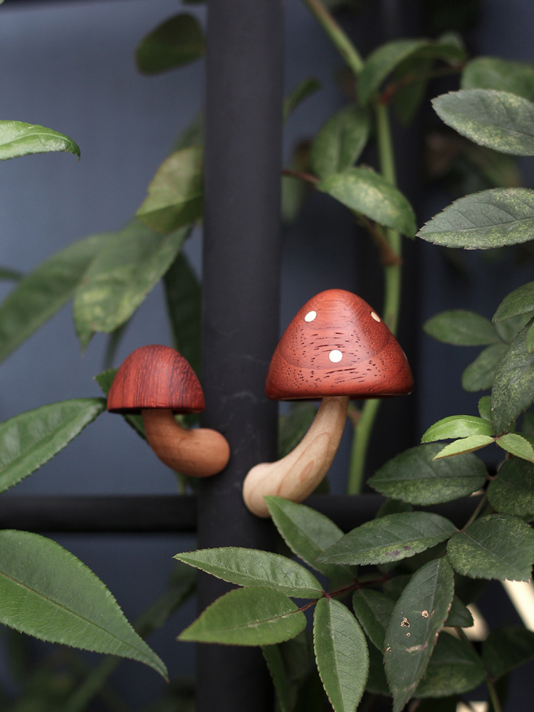 Whimsy Shroom